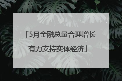 5月金融总量合理增长 有力支持实体经济